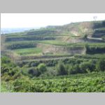 0043_Weinberge in Ihringen.JPG